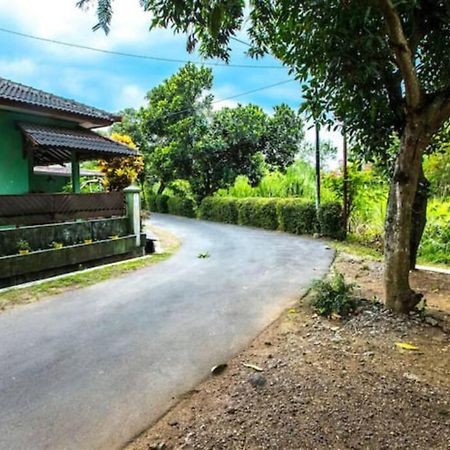 Villa Amalura I Yogyakarta Extérieur photo